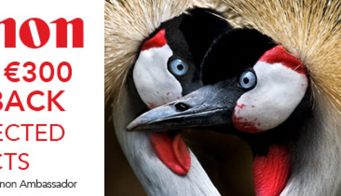 Canon Spring Cashback – Save up to €300 on Selected Products